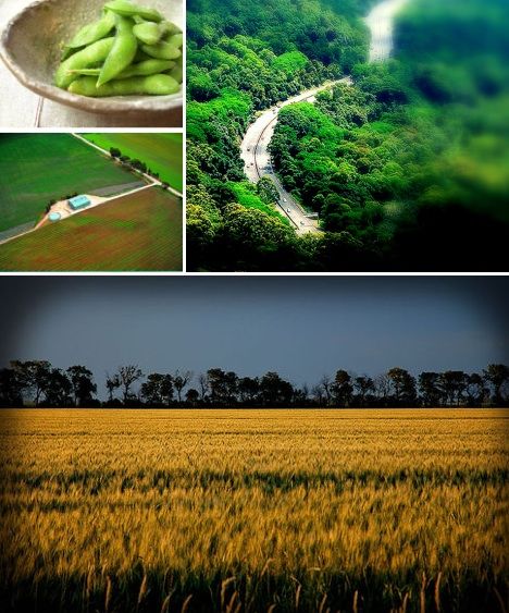 �c���M����һ�